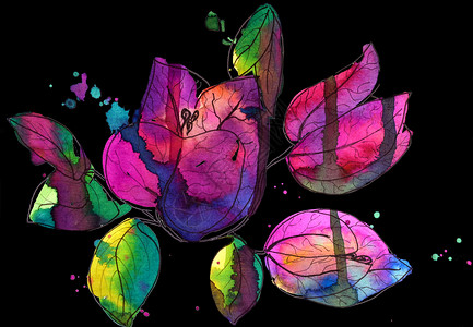开花粉红色九重葛纸花的插图 水彩画修图植物热带美术邀请函叶子植物学花瓣植物群紫色艺术背景图片