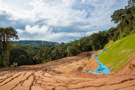 热带雨林清除了卡梅伦高地的林地茶高清图片素材