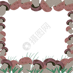 牛肝菌蘑菇方形边框蔬菜高清图片素材