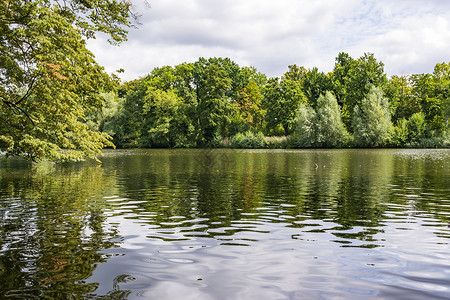 夏洛宫柏林夏洛特堡斯洛斯加顿湖树叶环境树木反射地标风景木头池塘树干花园背景