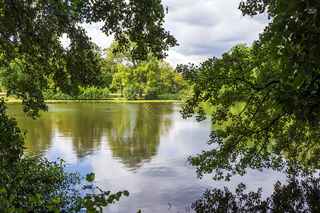 夏洛宫柏林夏洛特堡斯洛斯加顿湖树叶池塘森林植物公园树干花园地标风景叶子背景