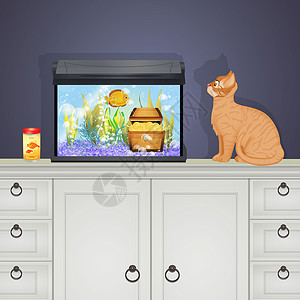 看着鱼缸猫看着水族馆里的鱼盐水猫科玻璃藻类插图家具动物食物海洋客厅背景