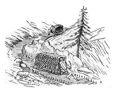 雪橇 老旧的雕刻绘画男人黑色古董日志爬坡木头森林艺术艺术品背景图片