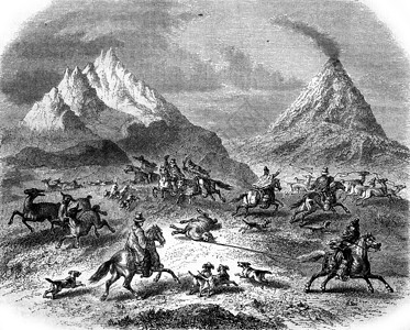 火山安图附近瓜纳科斯岛的狩猎事件背景图片