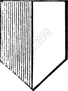 佩佩帕勒党有一个盾牌 上面有一条垂直的直线隔开背景图片