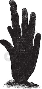 海王星手套复古插图背景图片