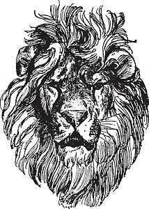 狮子头是保罗·迈耶海姆的一幅画 古代雕刻背景图片