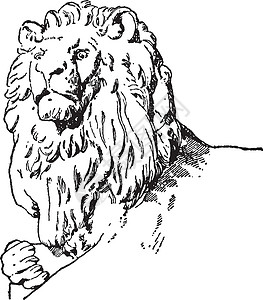 同伴头部有狮子雕塑 古代雕刻背景图片