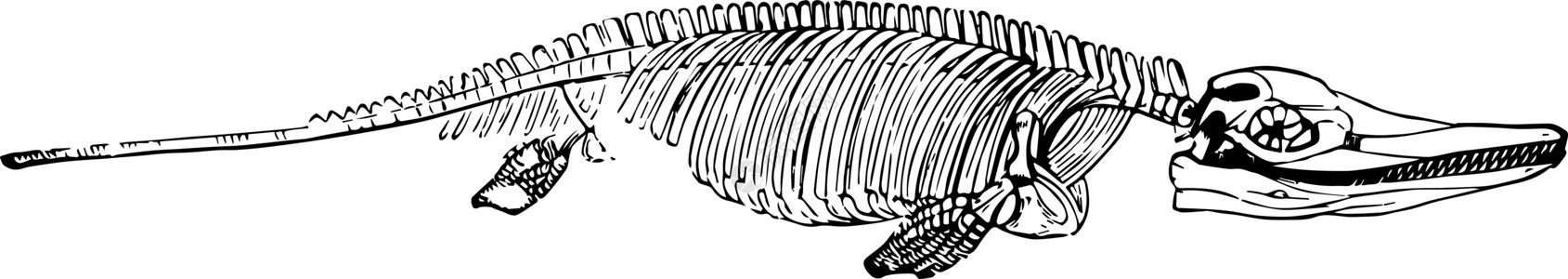 古代图解雕刻插图艺术白色绘画黑色背景图片