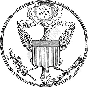 美国鹰美国大海印章 古典插图星星黑色白色雕刻箭头艺术绘画插画