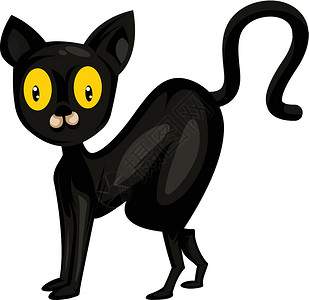 黑猫 白色背上有大黄眼睛矢量插图背景图片