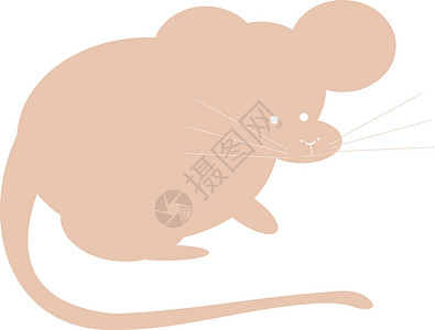 鼠标矢量颜色说明宠物荒野插图哺乳动物灰色绘画动物老鼠卡通片背景图片