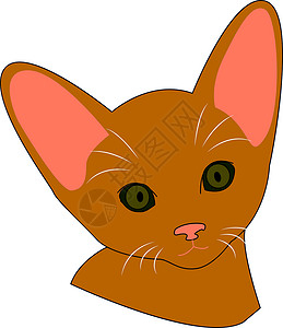 白底素材猫棕猫 插图 白底矢量插画