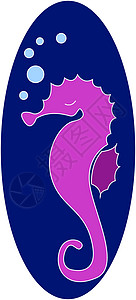海洋动物海马白色背景上的紫海马设计图片