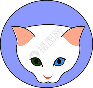 圆眼睛的猫绿色和蓝色眼睛的白猫 插图 白色矢量插画