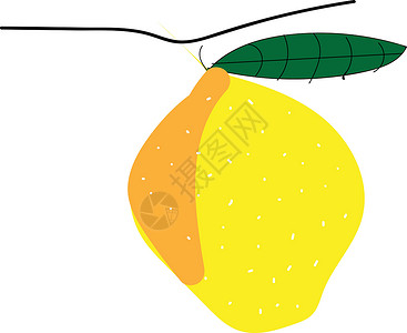 白色背景上带有向量的黄色柠檬背景图片