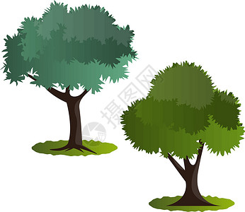 白色背景上的几棵绿树矢量图植物全球生活地球生态生物叶子花园3d森林背景图片