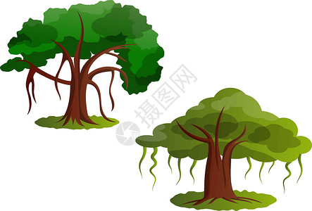 白色背景上的几棵绿树矢量图地球3d森林植物群生态全球叶子生活生长树叶背景图片