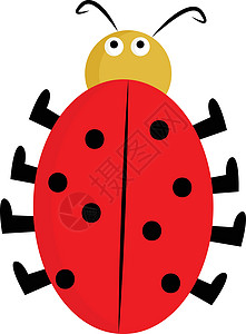 可爱彩色小瓢虫一只可爱的小瓢虫矢量图或彩色插图插画
