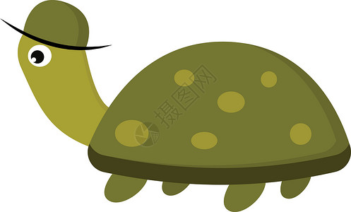 带帽矢量或彩色插图的乌龟背景图片