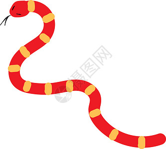 白色背景的红蛇插图矢量背景图片