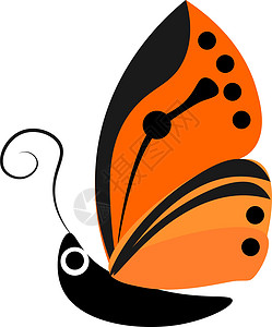 或彩色插图动物绘画漏洞君主斑点植物棕色蝴蝶生物学触角背景图片
