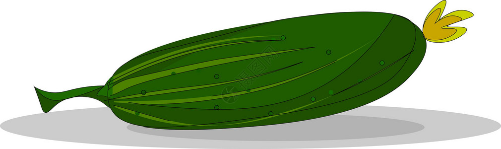 胡瓜黄瓜矢量或彩色插图花园沙拉农业绿色饮食食物厨房绘画营养蔬菜设计图片
