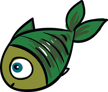 绿鱼 矢量或颜色说明海鲜插图尾巴营养绘画眼睛条纹烹饪淡水水族馆背景图片