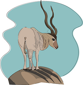 白色羚羊矢量或彩色插图背景图片
