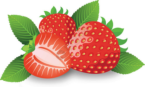 巢鼠属草莓插画甜点小吃叶子绘画水果萼片插图营养艺术品树叶插画