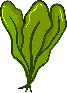 菠菜和西红柿白色背景上的新鲜菠菜插画矢量沙拉美食植物食物蔬菜艺术插图草本植物叶子草图设计图片