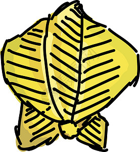 黄色卡兰波拉 插图 白色背景的矢量插画