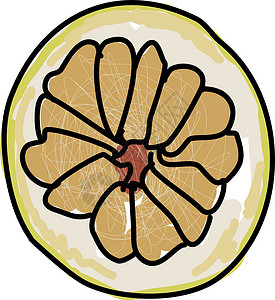 Oroblanco 插图 白色背景的矢量雕刻柚子油毡笔画水果油布黄色绿色手绘树叶背景图片