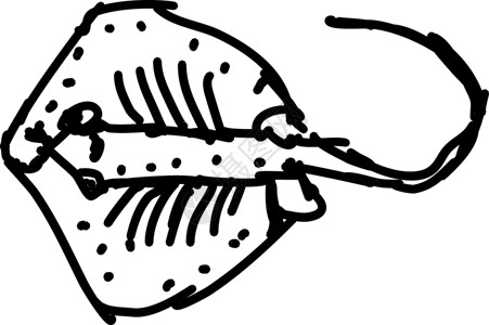 黄眉姬鹟深的自然高清图片
