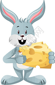 兔子带奶酪 插图 向量 在白色背景背景图片
