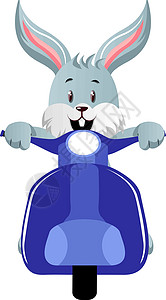 带摩托车的兔子 插图 白色背景的矢量背景图片