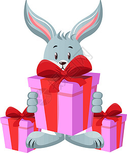 带生日礼物的兔子 插图 白背面矢量g背景图片