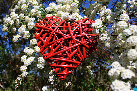 结婚吧毛笔字雪莓树丛中的红心贺卡背景结婚卡鲜花艺术婚礼爱的心结婚聚果红色背景