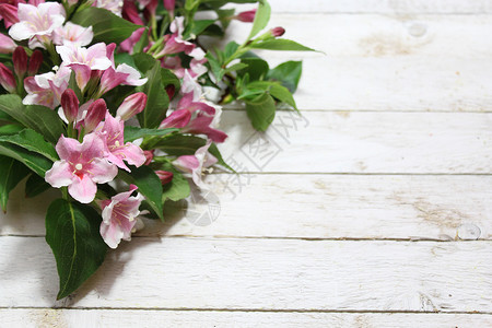 粉红色 Weigela 边框背景花卉设计粉色明信片边界鲜花背景图片