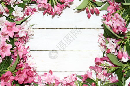 粉红色 Weigela 边框设计明信片粉色背景鲜花花卉边界背景图片