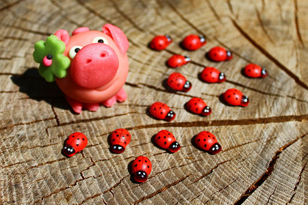 猪你好运立体字祝你好运财富护符希望运气乡村吉祥物木头新年瓢虫背景