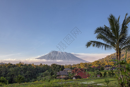 林贾尼火山以阿贡山为背景的稻米梯田 印度尼西亚巴厘背景