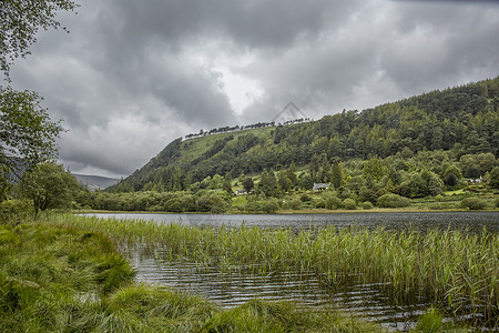 爱尔兰威克洛县格伦达洛谷地的易德风景高清图片