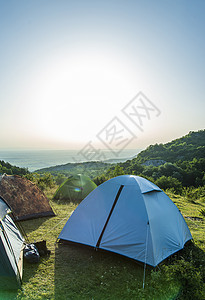 山上有许多帐篷 森林里阳光照耀的早晨假期太阳公园闲暇旅行松树绿色节日树木乐趣背景图片