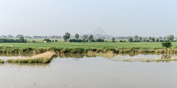 农村人口减少比哈尔邦自然之美高清图片