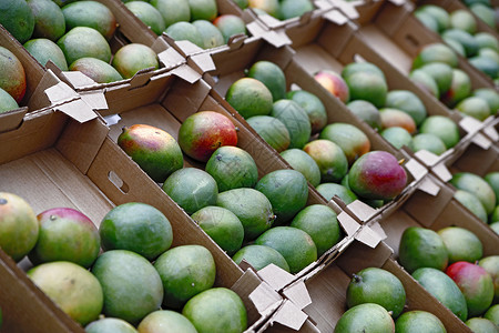 季节水果被放在杂货店的盒子里市场销售生产冰箱食物产品走道蔬菜折扣商业贸易高清图片素材