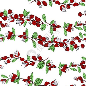 斐济开花花或的插图 斐济的国花国家海洋夹子艺术花瓣香气芳香植物群叶子旗帜插画