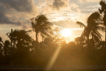 预报员剪影椰子棕榈树由黑暗的背照亮了天窗太阳阳光日落 戏剧性的大气情绪背景 黄昏到夜晚的时间流逝 热带岛屿海滩气候 背景自然场景天空光背景