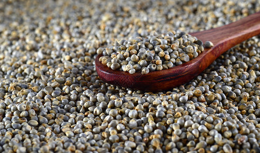 以木勺为珍珠米勒斯的壁炉小吃种子坚果矿物质谷物粮食芦苇植物营养食物背景图片