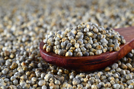 以木勺为珍珠米勒斯的壁炉粮食谷物食物矿物质营养碎粒饲料脂肪勺子种子背景图片
